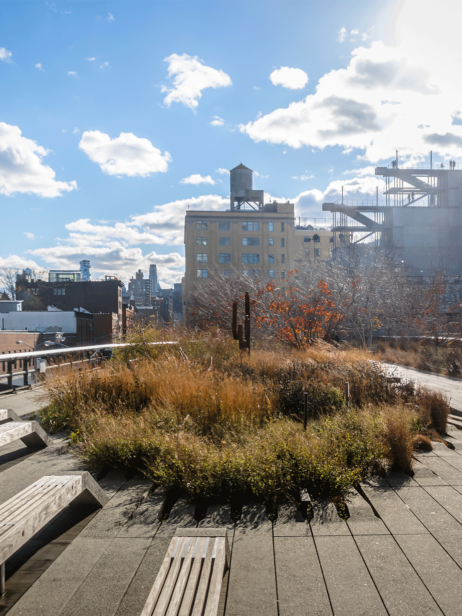 High Line NYC